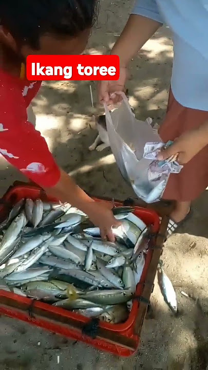 ikan nae dipante #shortstrending #trending #viral #short2024 #short #shorts