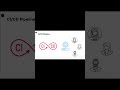 Github / CI CD Pipeline#github