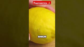 Очистить  почки от камней  и песка