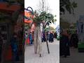 Legolandparade Halloween wandelnde Bäume