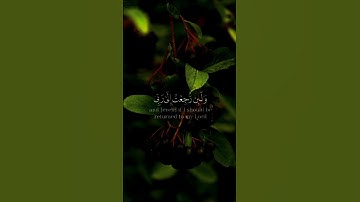 جزء 1 لا يسأم الإنسان من دعاء الخير شاشة سوداء كروما ايات قرانية ماهر المعيقلي سورة فصلت قران خلفية