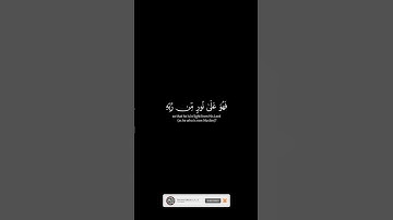 كروما شاشه سوداء🌿سورة الزمر🌿أفمن شرح الله صدره للإسلام🔥Surah Az-Zumar🔥#القران_الكريم
