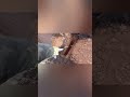 делаем вертикальные стенки выгребной ямы