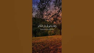 قران كريم _من سورة يونس_القارئ عبد الرحمن مسعد_ صوت جميل يريح النفس