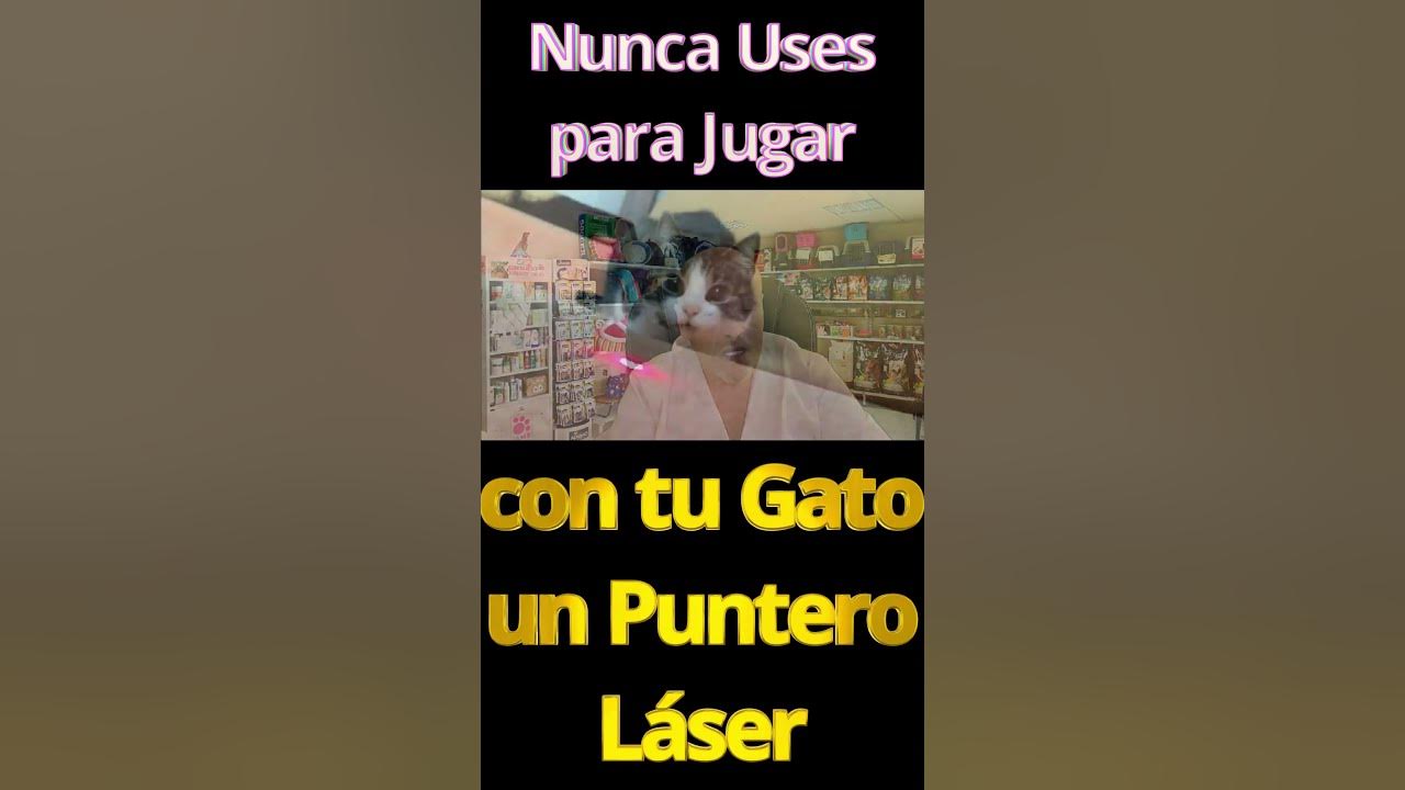 El GRAN PROBLEMA de los PUNTEROS LÁSER para los gatos 