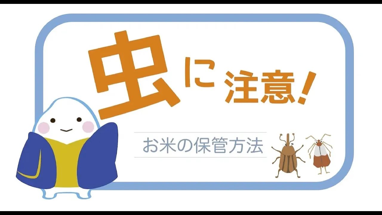 【お米の保管方法】プロが教えるお米の正しい保管方法【お米チャンネル～虫編～】
