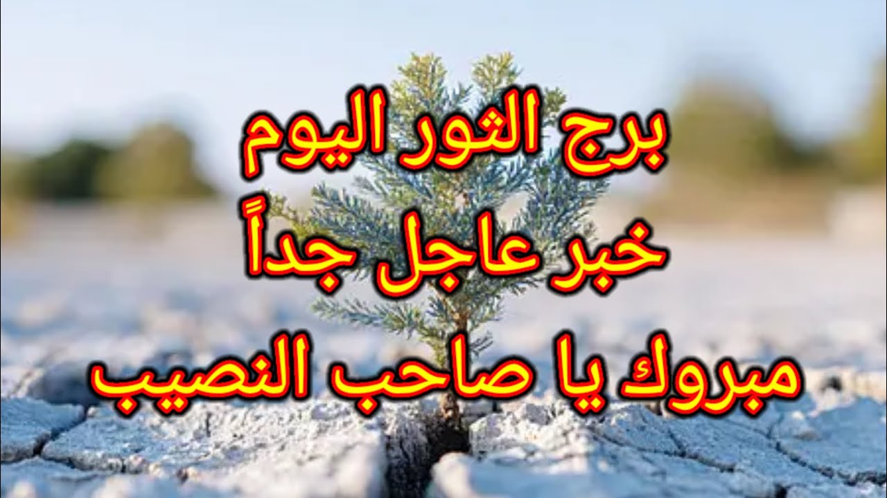 توقعات برج الثور اليوم 🙋‍♂️ خبر عاجل جداً 👉 مبروك يا صاحب النصيب 🎉 الجمعه 