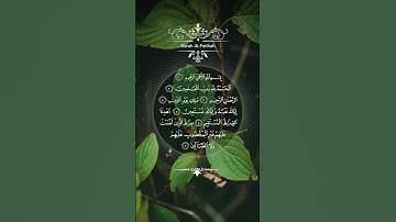 سورة الفاتحة 💚#قرآن #راحة_نفسية #قران_كريم #تلاوة_خاشعة #لايك #تيك_توك #اكسبلور #حالات_واتس #دويتو