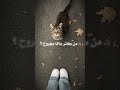 ياضلي ياروحي تعبت معك روحي الشامي