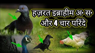 हजरत इबरहम और चर परद Hazrat Ibrahim Aur Char 4 Parinday