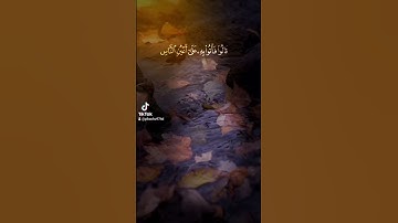 قالوا من فعل هٰذا بِئالهتنا - القارئ : احمد النفيس - سورة الانبياء
