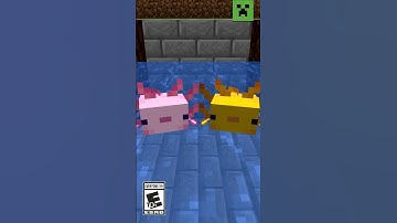 WHEN IT FINALLY HAPPENS