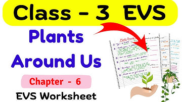 Plants Around Us Class 3 | Class 3 EVS Plant Around Us | Class 3 Worksheet | EVS Worksheets Class 3