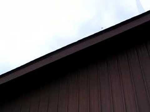Dove Release