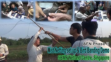 Mist Netting and Bird Banding Demo