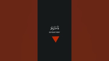 تلاوة من سورة آل عمران