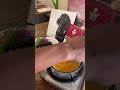 DOGS omelette 🐶🥚 コラボ料理がたべられる!?#shorts #オンザピッグスバック