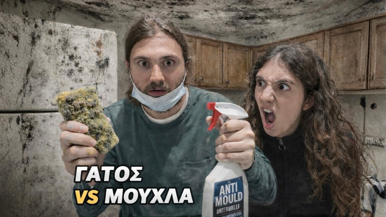 Καθαρίσαμε τη μούχλα και τη σκόνη στην κουζίνα 