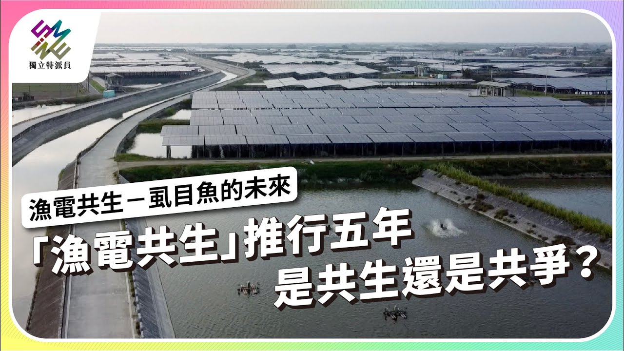 「漁電共生」推行五年，是共生還是共爭？｜漁電共生－虱目魚的未來｜公視 #獨立特派員 第928集 20251112