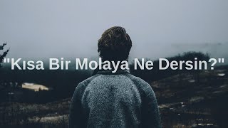 “1 Dakikalık Doğa Molası 🍃 Rahatla, Derin Nefes Al Ve Yenilen”