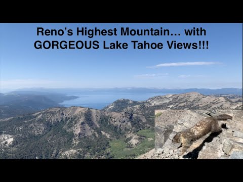 Video: Mt. Rose Summit Trailhead - Trails Near Reno, Nevada