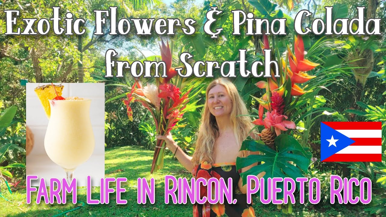 Our Life in PR: Home Grown Piña Colada (How to) plus Mother's Day and Flower Farm Update