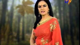 ETV MP BHULE BISRE GEET OLD FILM SONG | ETV MP Chhattisgarh