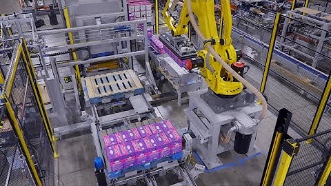 Robotic Palletizing RCP-MX for Pails & Cases of Cat Litter by Pearson Packaging Systems