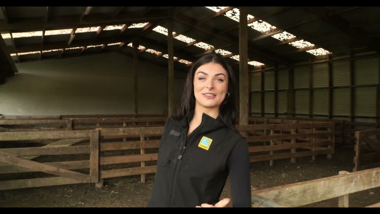 Homegrown Gold episode 3