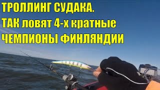 видео: ТРОЛЛИНГ СУДАКА. Так ловят 4-х кратные ЧЕМПИОНЫ ФИНЛЯНДИИ. картинка: ТРОЛЛИНГ СУДАКА. Так ловят 4-х кратные ЧЕМПИОНЫ ФИНЛЯНДИИ.
