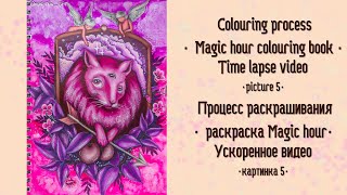 ПРОЦЕСС РАСКРАШИВАНИЯ. Magic hour - 5. Ускоренное видео / SPEED COLOURING. Magic hour - 5.