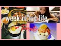 STUDENT VLOG | Busy + Fun Week in My Life in Toronto (ft. lots of good food!)
