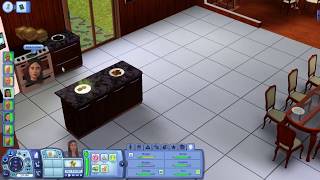 I hate my Sims 3 roommates. Gameplay/Commentary screenshot 5