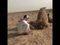 هموم بدوي