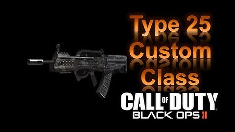 Black Ops 2 Type 25 Custom Class Setup