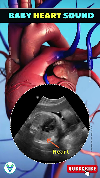 Baby Heartbeat: When and How to Listen During Pregnancy #fertility #shortsfeed #viral #pregnancy