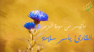ما تيسر من سورة الزمر | الشيخ ياسر سلامة