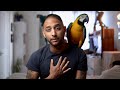 The Accident We Never Saw Coming | Disturbing Footage || Mikey The Macaw