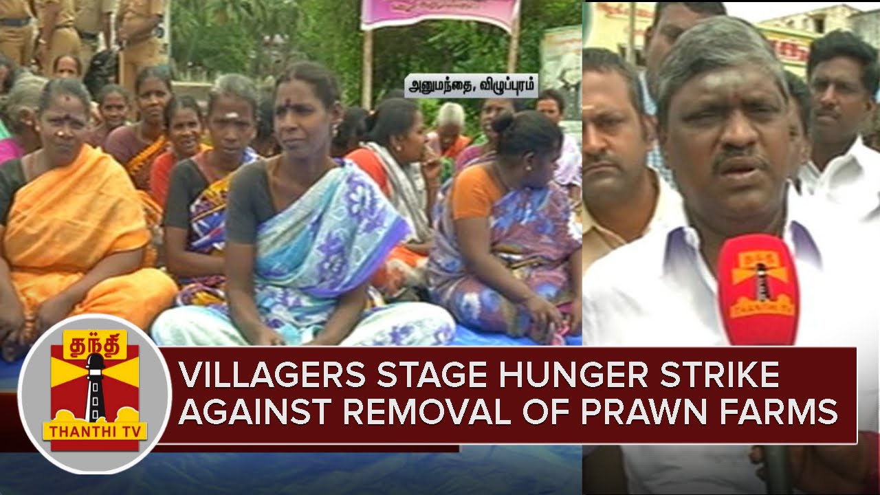 Villupuram Villagers stage Hunger Strike against removal of Prawn farms | Thanthi TV