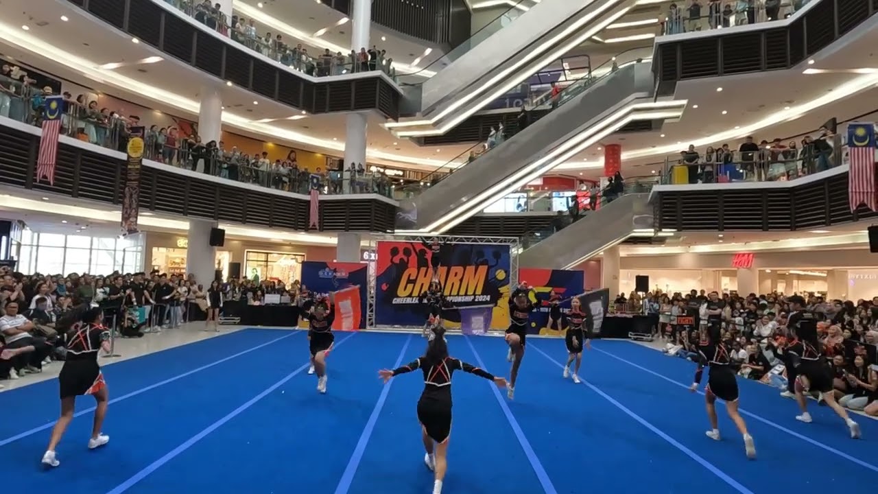 1087 DSTARZ SENIOR C3 2024