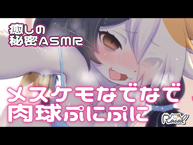 【メスケモ】なでなで♡ぷにぷに♡【癒しの秘密ASMR】