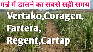 गन्ने में Fartera, Vertako, Regent, Cartap, Coragen, Ampligo, Voliam Flexi कब डाले । गन्ने की खेती