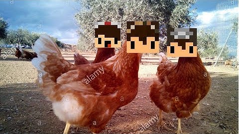 SouperCat,SouperCow and SouperChicken are back :^)