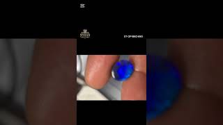 6.90 Carat Natural Black Opal | Stunning Blue Sheen | Lightning Ridge Gemstone for Sale