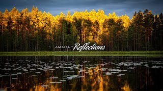 'Metamorphosis’ | Ambient Music | Ambient Reflections