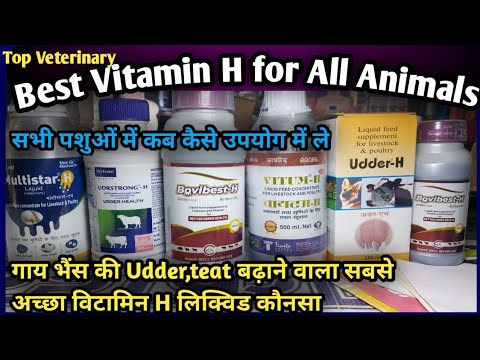 Top Veterinary Best Vitamin H for all Animals||Buffalo Cow Udder teat  growth||Kab kase kitni dose - YouTube