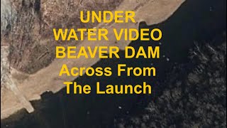 BEAVER DAM ACCESS - Underwater INTEL