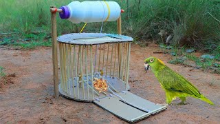 Unbelievable Bird Parrot Trap Make From DIY Cage and Milk Cans  Easy Bird Trap