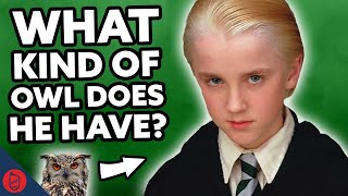J vs Ben: HARDEST Draco Malfoy Harry Potter TRIVIA Quiz Ever