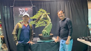 Siêu phẩm bonsai -Bằng Kiều’s Bonsai stories